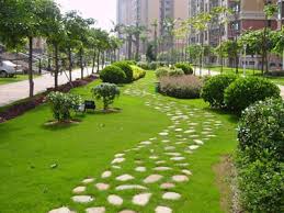 崇州城市绿化怎么承接