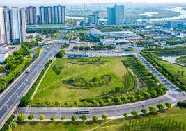 新乐市政道路绿化树苗种类大全