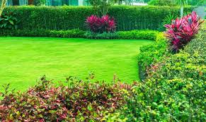 2026美加墨世界杯官网 园林绿化如何提高城市社区的文化氛围？