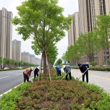 2026世界杯官网 丰南绿化苗木基地在哪个城市